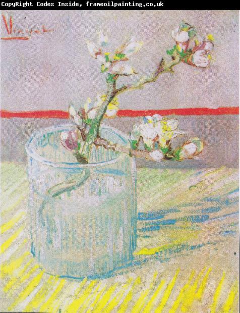 Vincent Van Gogh Bluhender Mandelbaumzweig in einem Glas
